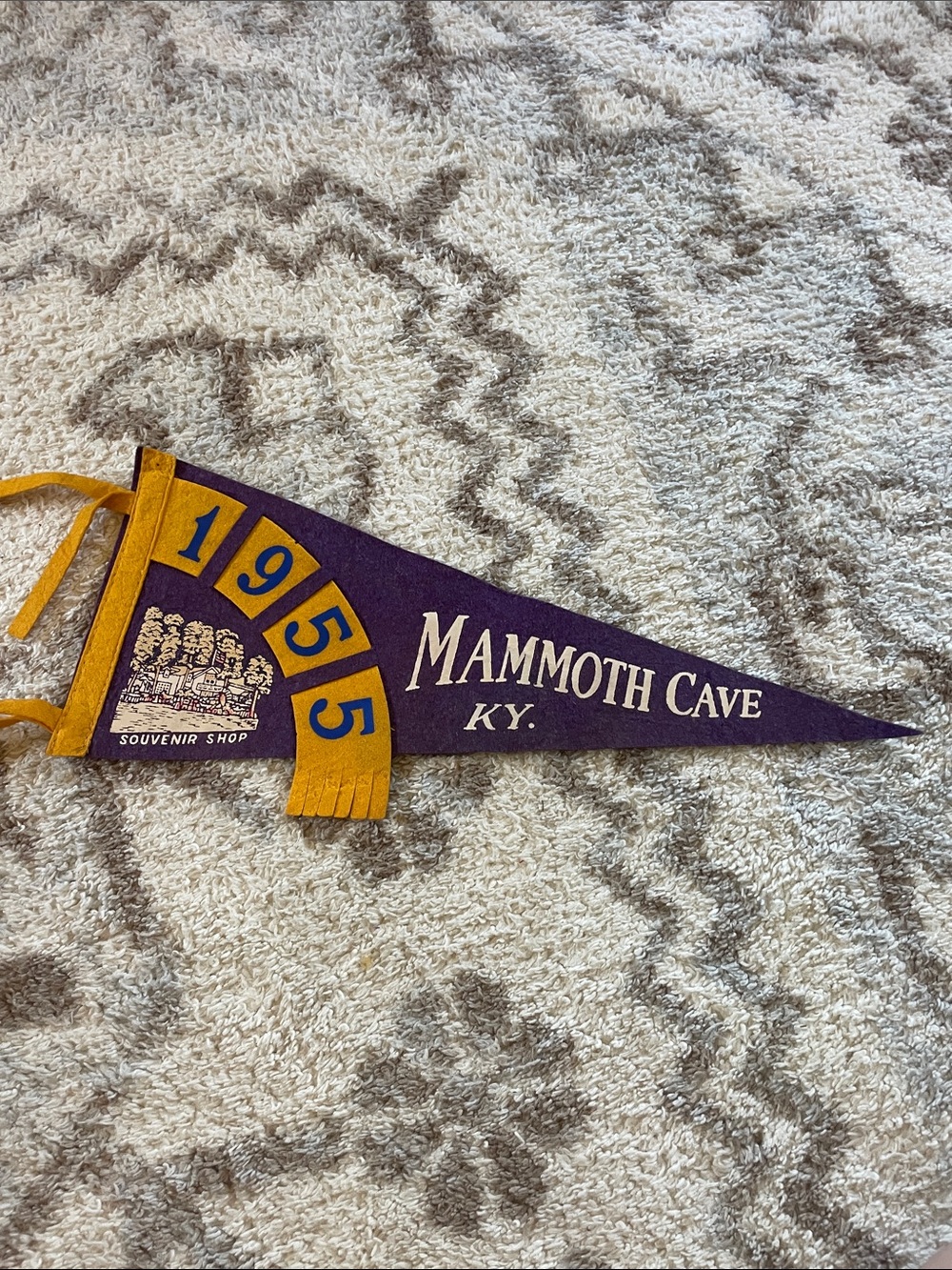 Mammoth cave pennant